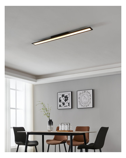 EGLO Wand und Deckenleuchte       900095 