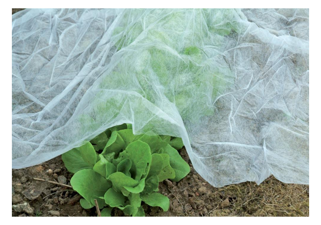 Bild Universal-Garten-Vlies 17g/qm FW - floraworld-1
