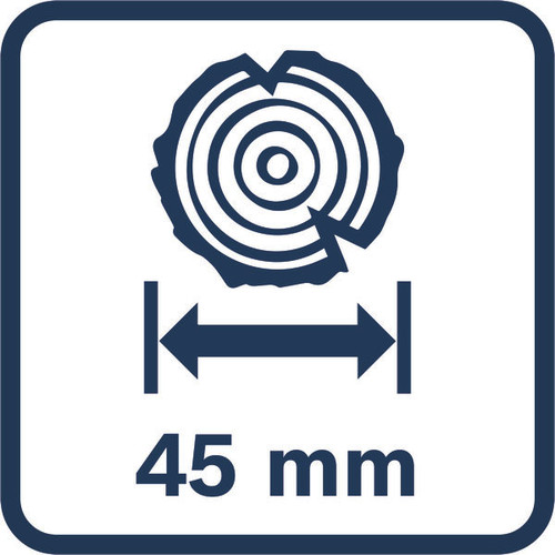 Bosch Akku-Gartenschere       06008D8002 