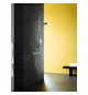 hansgrohe Handbrause Croma 100 Vario chrom