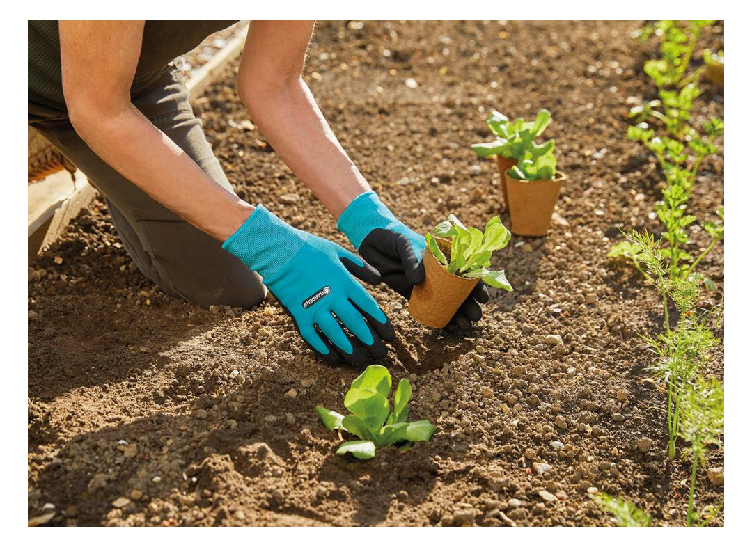 Bild Pflanz-und odenhandschuh Größe 8 / M - Gardena-2