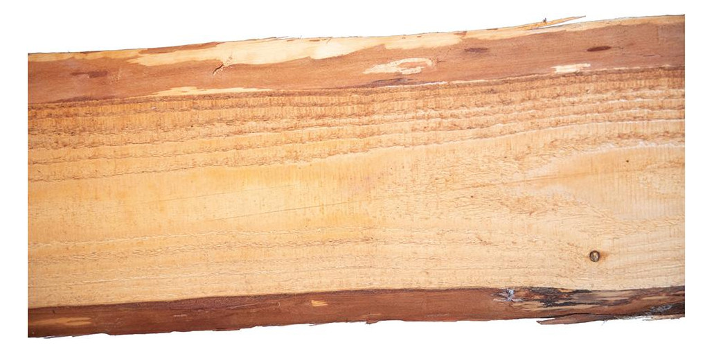 Bild BORNHOLM-Bonanza-Brett sägerau 240 cm Hö he baumfallend, Lärche 20 mm stark - n.a.-0
