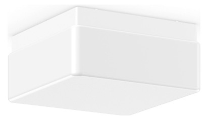 RZB Wand-Deckenleuchte A60 75W 20128.002 