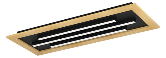 EGLO Wand und Deckenleuchte       900604 
