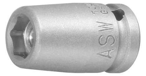 ASW-Kraft-Steckschlüssel-Einsatz, magnetisch 1/4 - SW10