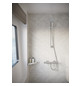 hansgrohe Brausethermostat Ecostat Comfort 304x103mm, AP, 1 Verbraucher, chrom