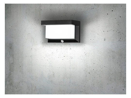 EGLO LED-Solar Wandleuchte         48968 