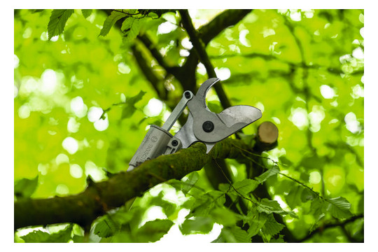 Bosch Akku-Gartenschere       06008D8002 