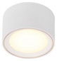 LED-Deckenanbauleuchte FALLON 5,5W 2700K 500lm ws Konv IP20 Ø100x60mm