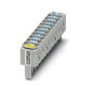 Phoenix 2920829    CT 10-2/2-GS/3E-110AC 