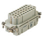 HART Buchseneinsatz 32 pol.  09320323101 