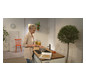 hansgrohe Spültisch-Einhebelmischer 160 Focus M41 1jet, chrom
