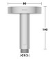 KEUCO Brausearm Ausladung 100 mm, aluminium-finish, Deckenanschluss, Rosette rund