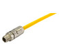 HART M12 X-coded cable    21330101850020 