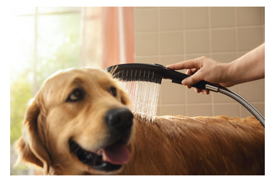 hansgrohe Hundeduschbrause 150 DogShower 3jet, mattschwarz hansgrohe Hundeduschbrause 150 DogShower 3jet, mattschwarz