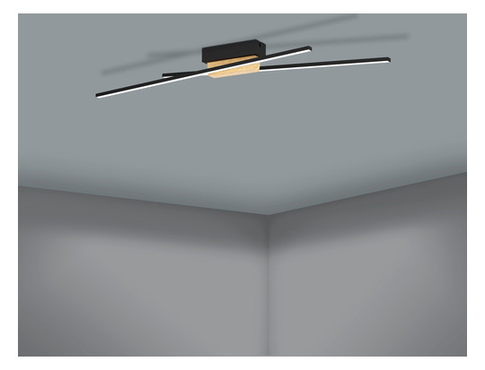 EGLO Wand und Deckenleuchte       900488 