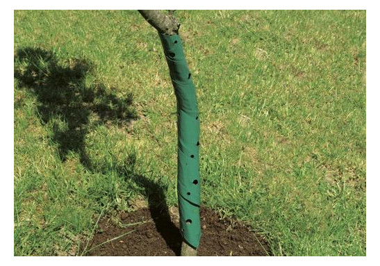Bild Baumschutzspirale 2er, 60 cm - floraworld-0