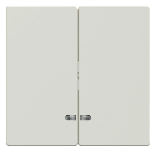Wippe_2t Schalter System M polws glz Kontrollfenster/Lichtauslass