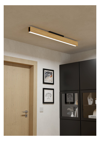 EGLO Wand und Deckenleuchte       900387 