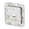Multifunktionsdose UP Kanaleinb 1slot ws Unterputzmontage RAL9010