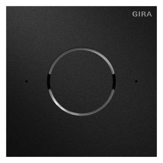 GIRA 5544925 Frontpl.Sprachmodul IP 
