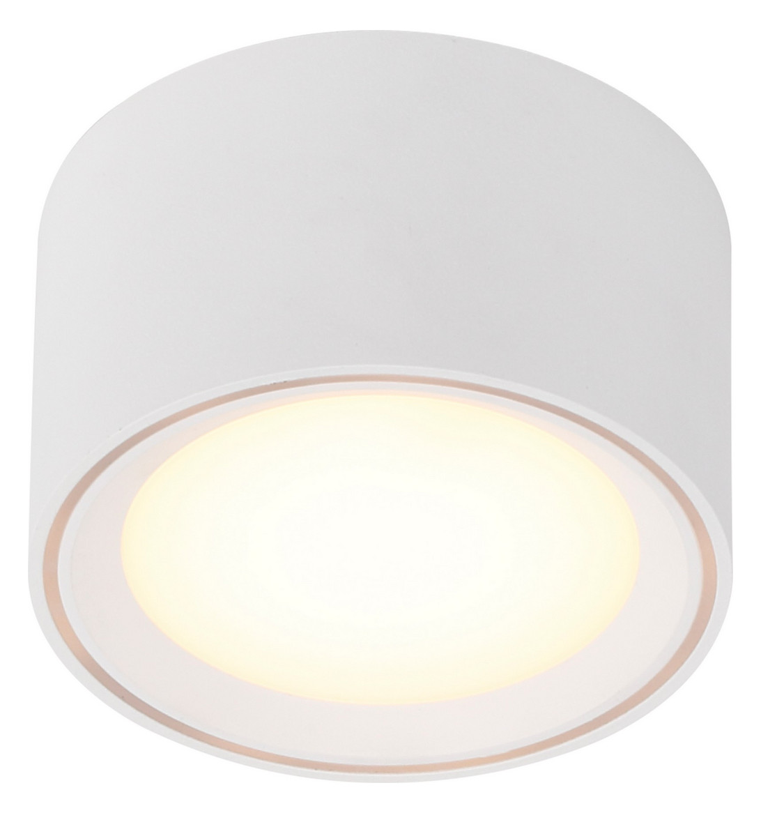 LED-Deckenanbauleuchte FALLON 5,5W 2700K 500lm ws Konv IP20 Ø100x60mm