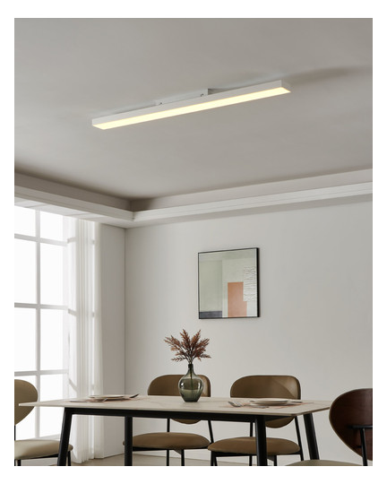 EGLO Wand und Deckenleuchte       900062 