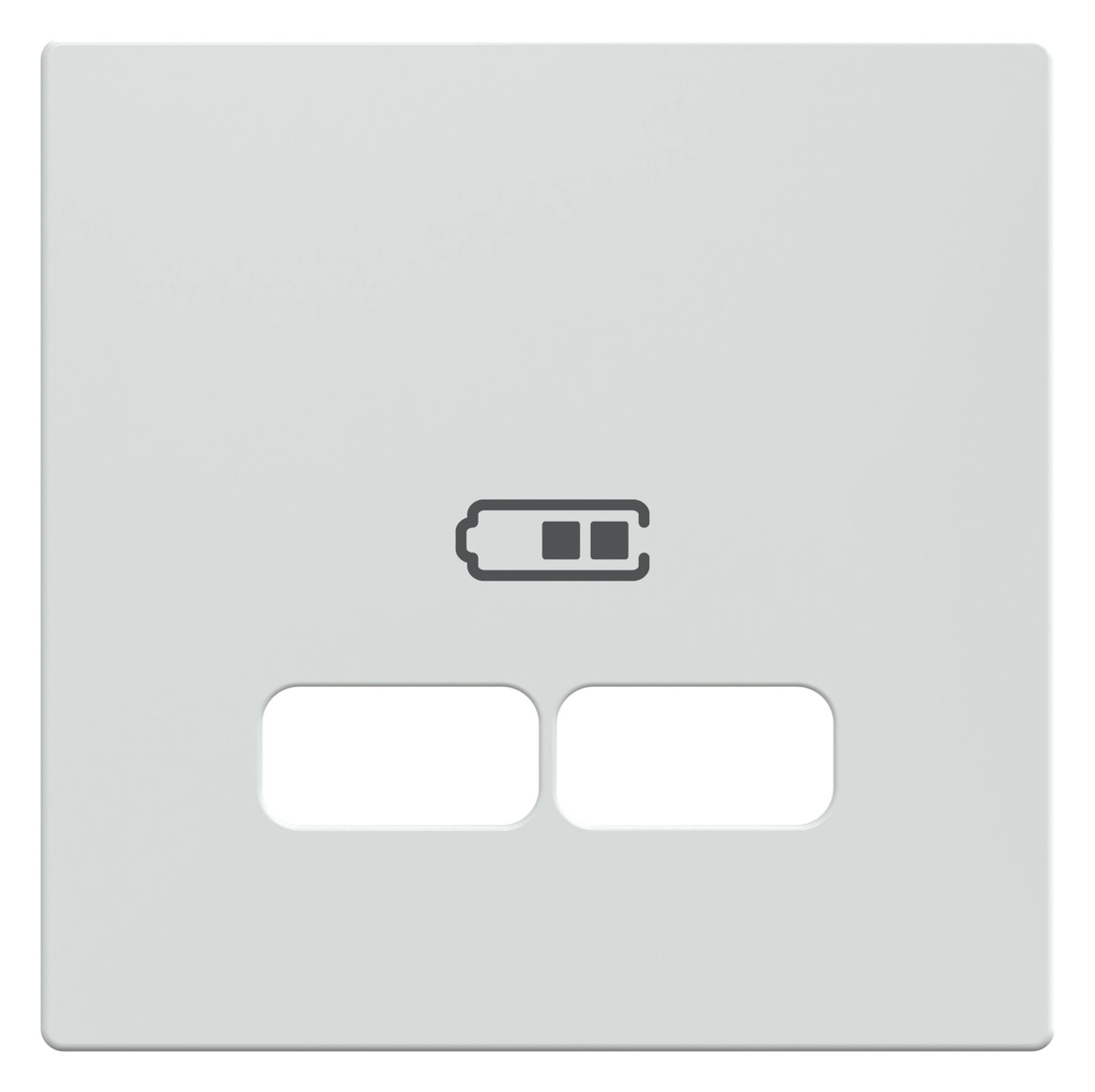 Zentralplatte USB 2f akws Klemmbef m.Aufdr aktivweiß