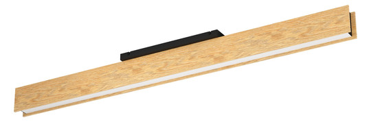 EGLO Wand und Deckenleuchte       900387 