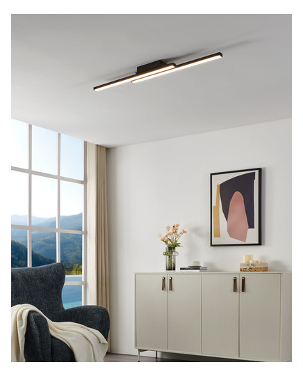 EGLO Wand und Deckenleuchte       900079 