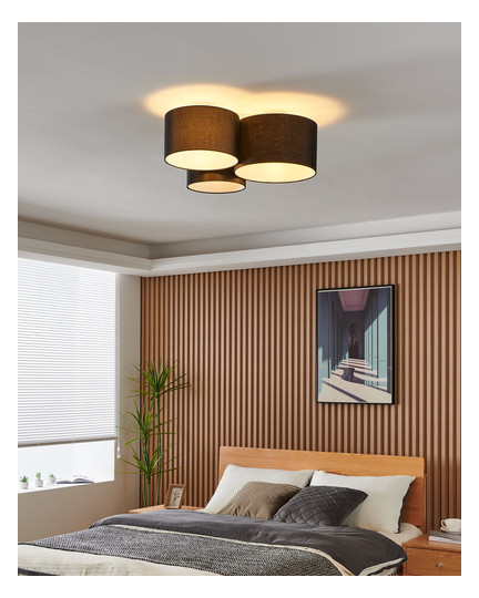 EGLO Wand und Deckenleuchte        99508 
