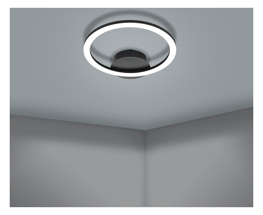 EGLO Wand und Deckenleuchte       900323 