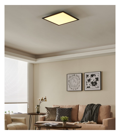 EGLO Wand und Deckenleuchte       900051 