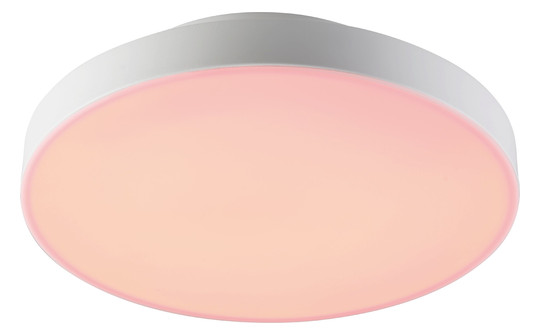 EGLO Wand und Deckenleuchte       900054 