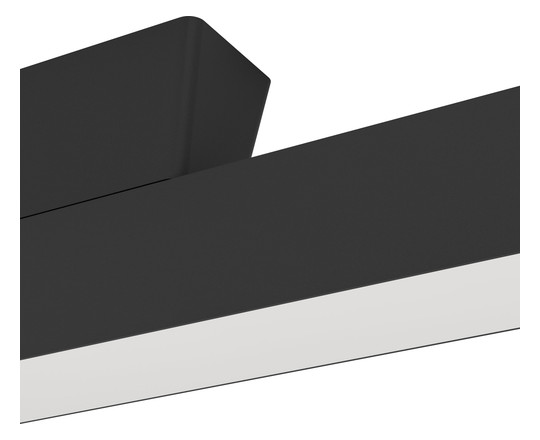 EGLO Wand und Deckenleuchte        99602 