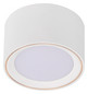 LED-Deckenanbauleuchte FALLON 5,5W 2700K 500lm ws Konv IP20 Ø100x60mm