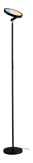 Paulmann Caneta LED Floor lamp 24  78019 