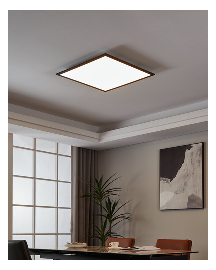 EGLO Wand und Deckenleuchte       900052 