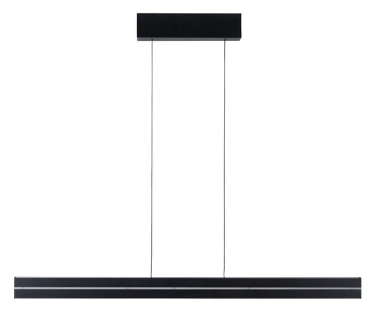Paulmann Raiko Pendelleuchte dim   78474 