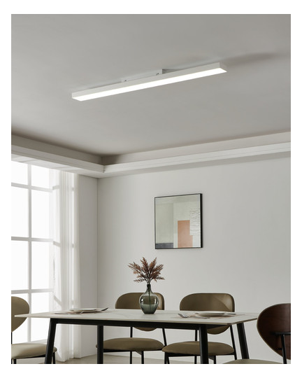 EGLO Wand und Deckenleuchte       900062 
