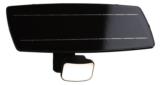 Paulmann Outdoor Solar Fluter      95705 