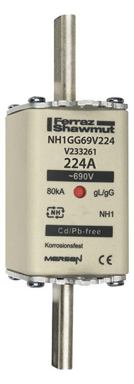 Mersen 1C173.000000 NH1 224A gG 690V 