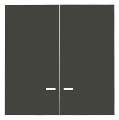 Panasonic Plus 55        WDTR00581DG-EU1 