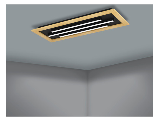 EGLO Wand und Deckenleuchte       900604 