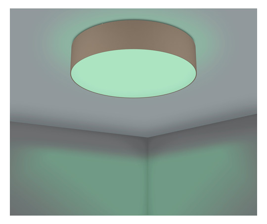 EGLO Wand und Deckenleuchte       900441 