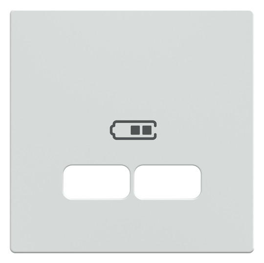 Zentralplatte USB 2f polws Klemmbef m.Aufdr
