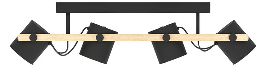 EGLO Wand und Deckenleuchte        43558 
