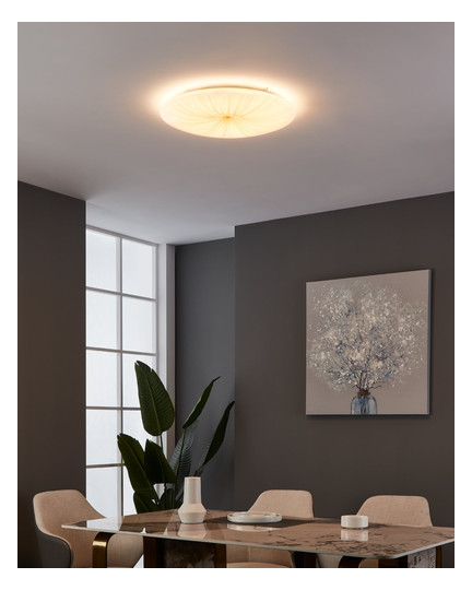 EGLO Wand und Deckenleuchte       900501 