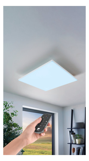 EGLO Wand und Deckenleuchte       900059 