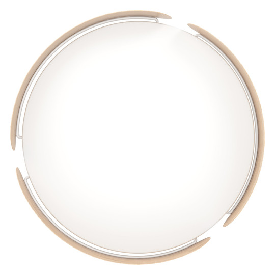 EGLO LED-Deckenleuchte             99622 